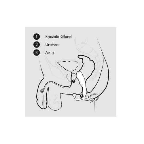n9369-aneros-prostate-massagers-easy-to-use_2