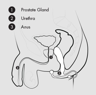 prostate-massagers-easy-to-use_2