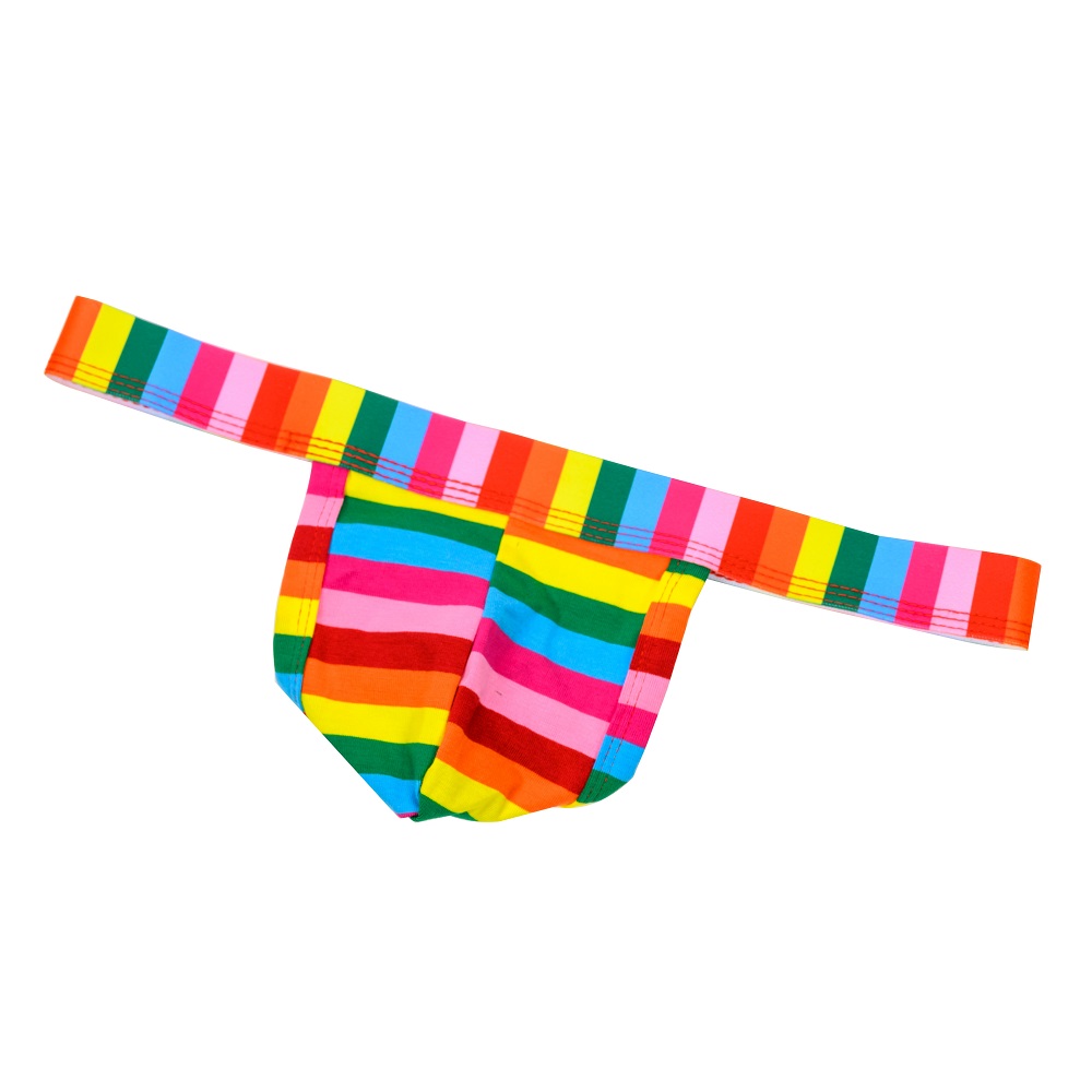 n11208-rainbow-mens-thong-2