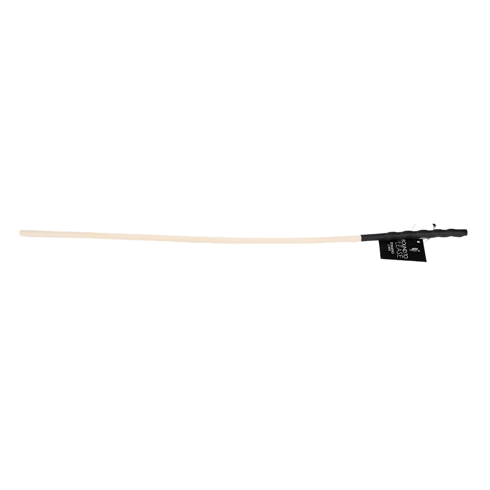 n12774-bound-to-please-spanking-cane-2